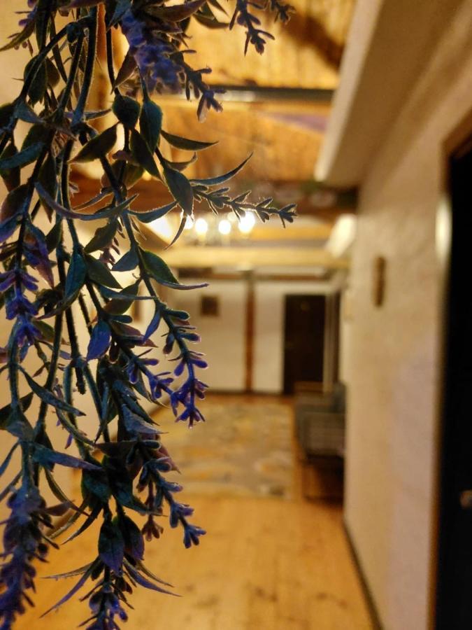 Cabana Vanatorului 8 Sohodol  エクステリア 写真